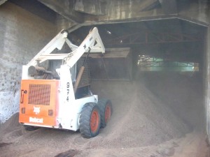 cacao al granel